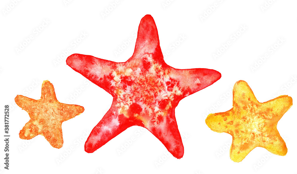 Collection of starfish isolated on a white background. red and yellow starfish illustration for the design template Collection of starfish isolated on a white background. red and yellow starfish illustration for the design template