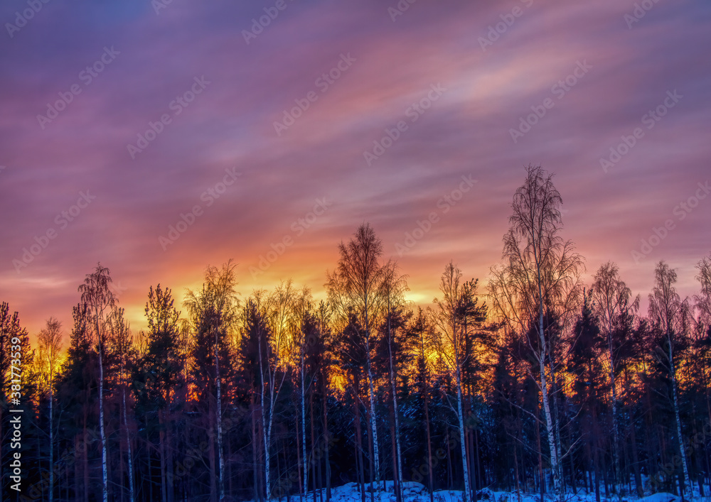 Obraz premium Pictures of a sunset over a forest near the Finnish town of Rauma