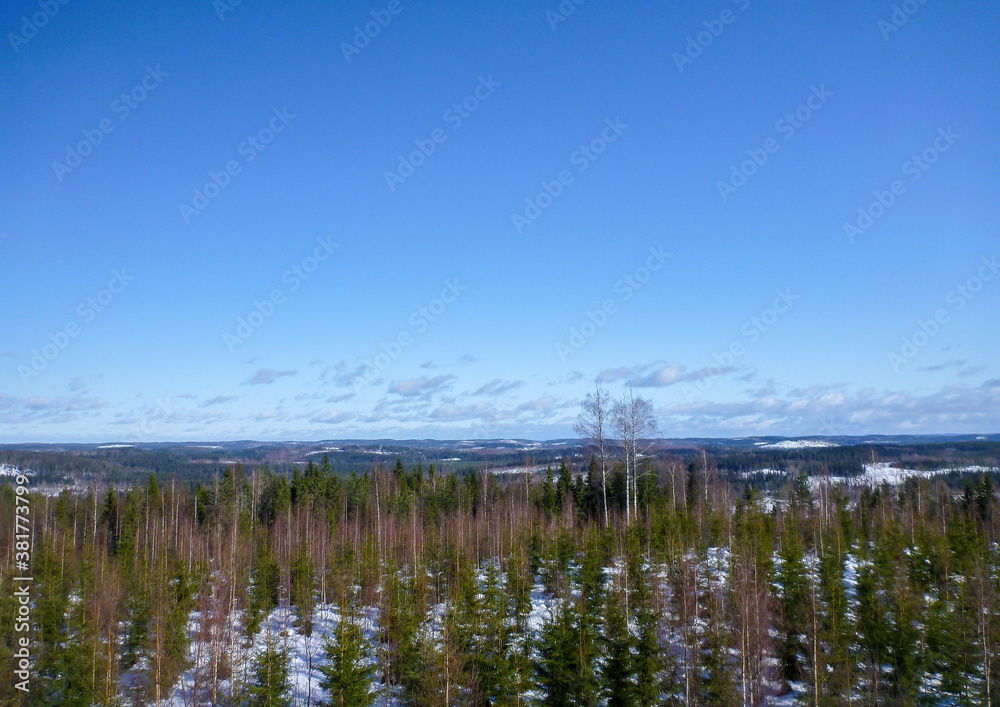 Picture of a typical winter landscape in central Finland near the town of Jämsä