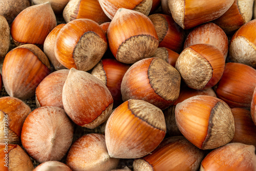 Hazelnuts in the shell. Close-up. Background
