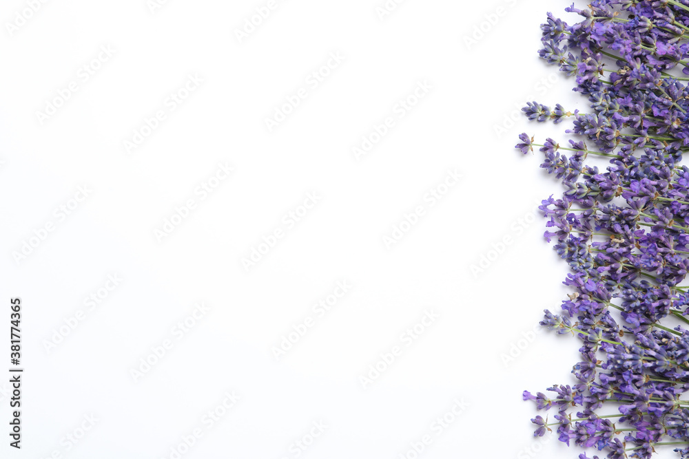 Beautiful lavender flowers on white background, flat lay. Space for text Beautiful lavender flowers on white background, flat lay. Space for text