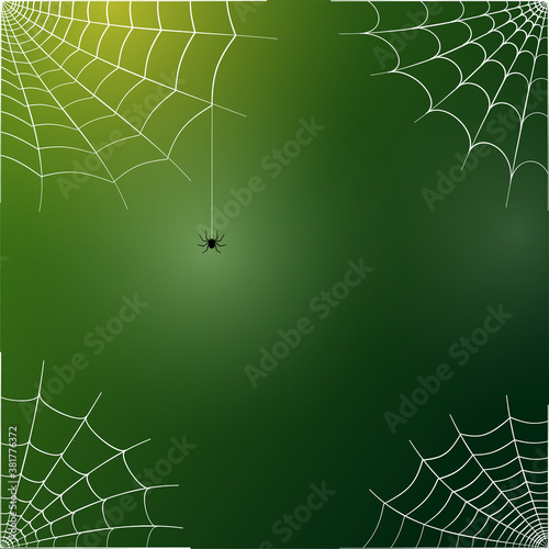 Spider web concept