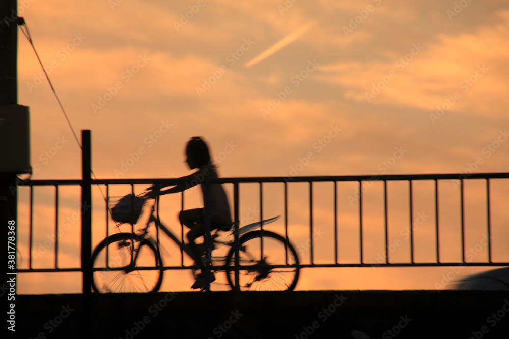 Fototapeta premium 夕景のシルエット