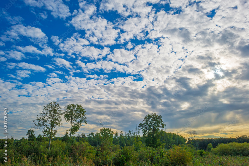 Fields and trees in a green grassy landscape under a blue cloudy sky in sunlight at fall, Almere, Flevoland, Netherlands, September 29, 2020 Fields and trees in a green grassy landscape under a blue cloudy sky in sunlight at fall, Almere, Flevoland, Netherlands, September 29, 2020