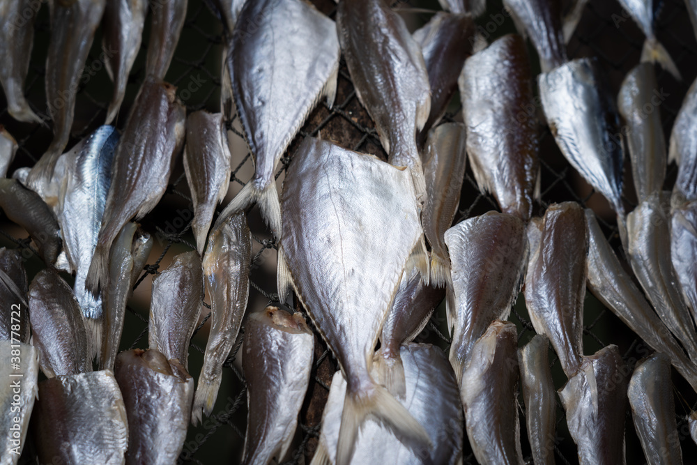 Dry fishes in local market shelf. Food preservation method photo, Selective focus at the center part. Dry fishes in local market shelf. Food preservation method photo, Selective focus at the center part.