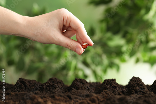 Woman putting bean into fertile soil against blurred background, closeup. Vegetable seed planting