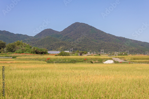 初秋の二上山
