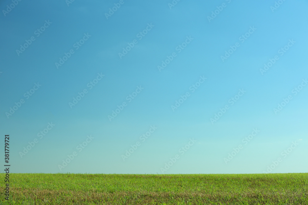 Beautiful landscape with green grass on sunny day Beautiful landscape with green grass on sunny day