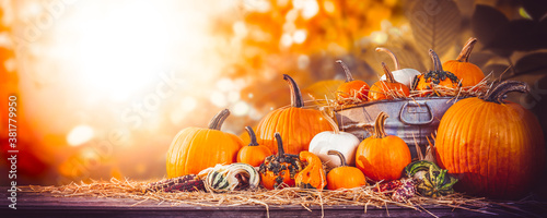 Fall Pumpkins In Old Metal Tub With Straw And Fall Colors