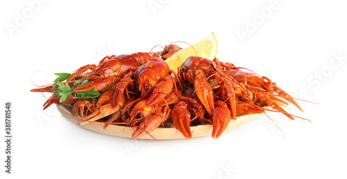 Plate with delicious boiled crayfishes on isolated white