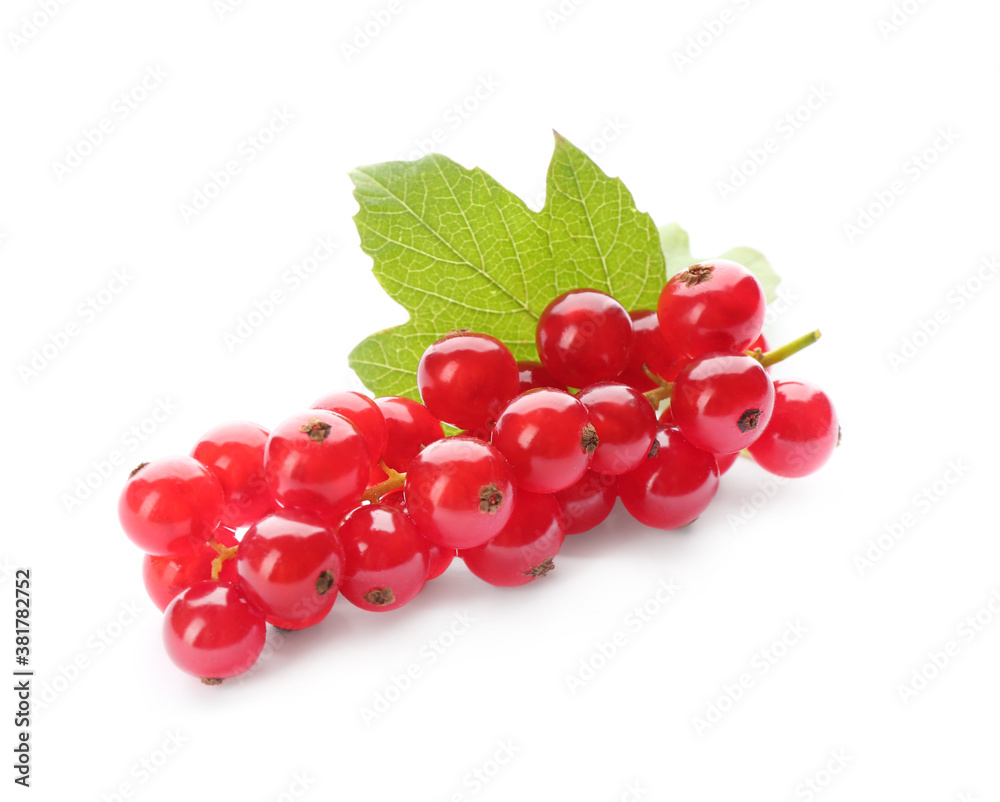 Delicious ripe red currants isolated on white Delicious ripe red currants isolated on white