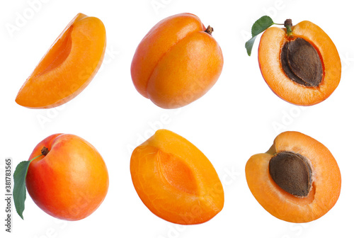 Set of cut and whole fresh apricots on white background