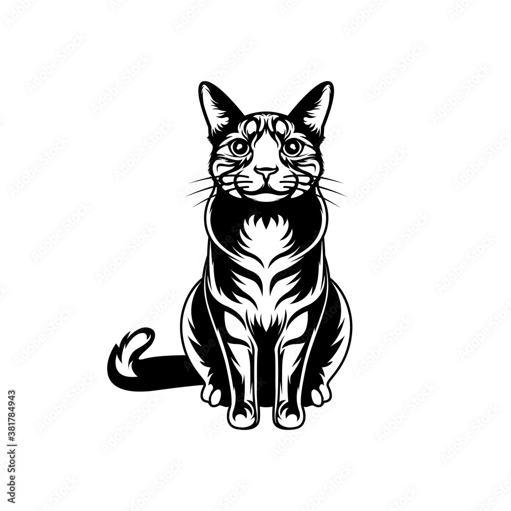 black and white illustration of a cat 