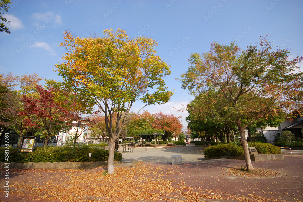Fototapeta premium 中丸公園（横浜市緑区霧が丘）