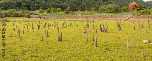 View of drained dam lake bottom at Aono dum in Sanda city, Hyogo, Japan photo