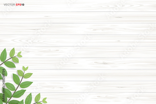 Wood texture background with green leaves. Vector illustration.