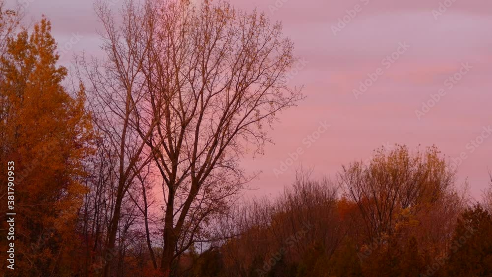 Beautiful Fall Landscape At Sunrise, Vibrant Coloured Leaves And Sky Beautiful Fall Landscape At Sunrise, Vibrant Coloured Leaves And Sky