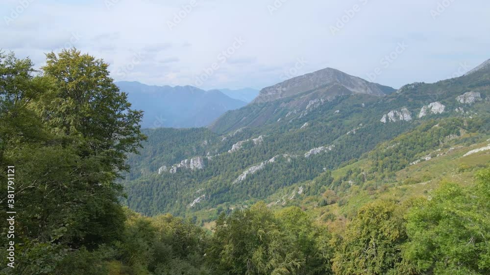 Aerial low flying pull back shot through trees of lush wooded mountains