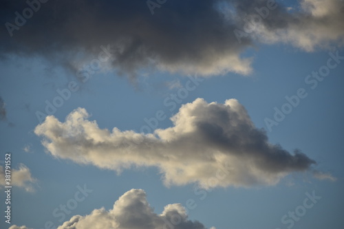 crocodile shaped cloud