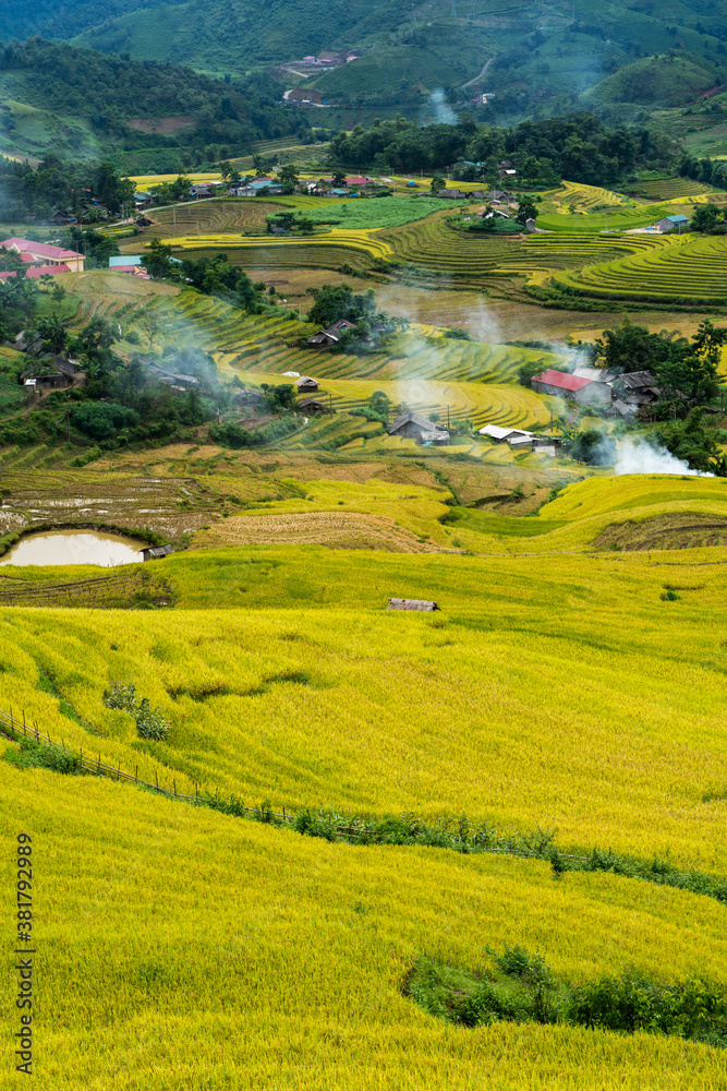 Obraz premium Terraced rice field landscape in harvesting season in Y Ty, Bat Xat district, Lao Cai, north Vietnam