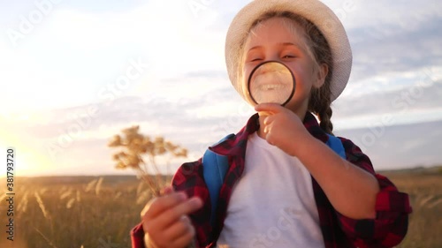 kid tourist examines the plant with a magnifying glass. travel tourism adventure concept. little kid boyscout girl with a backpack studies nature plant looks through a magnifying glass lifestyle