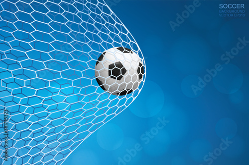 Soccer ball in goal. Football ball and white net with blue background. Vector.