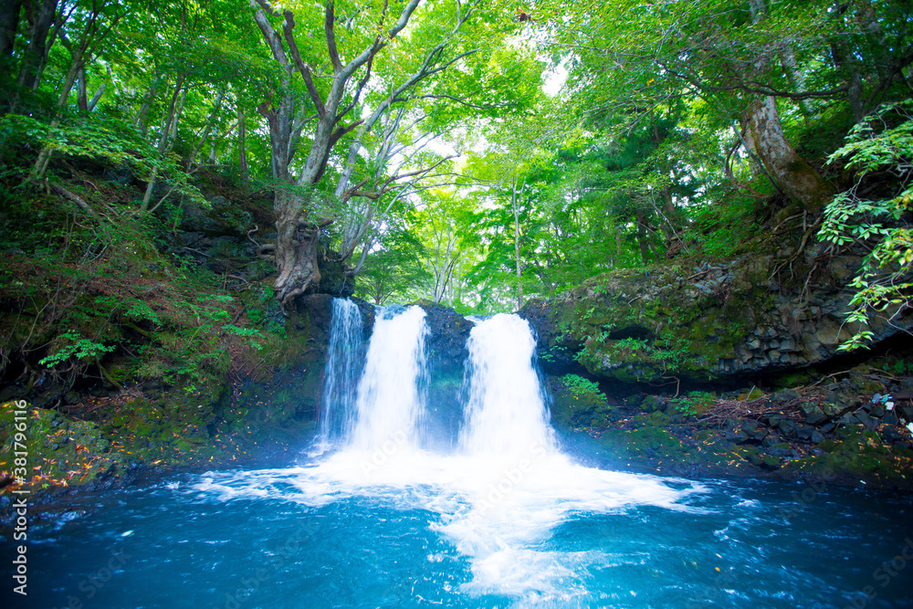 waterfall in the forest kanayama falls