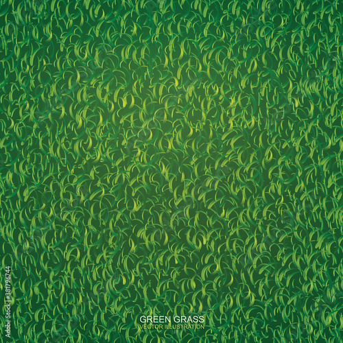 Green lawn grass texture for background. Vector.