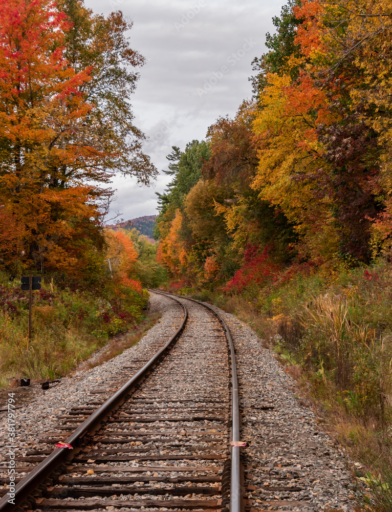 Obraz premium Railway path leading line in autumn landscape