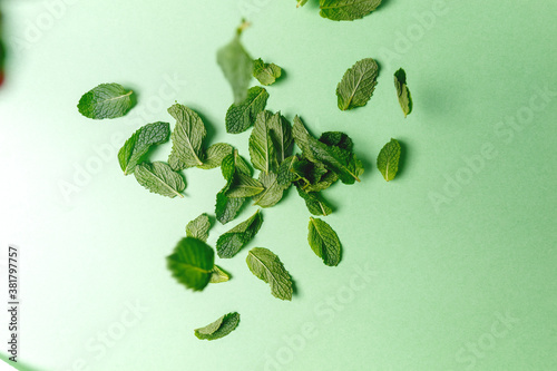 Mint leaves falling to the trendy solid green backdrop, ecology and messthetics concept, moody uneven light