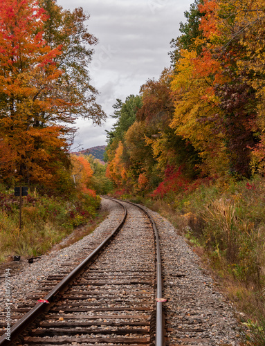 Railway path leading line in autumn landscape