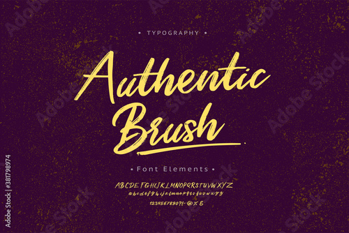 Handwritten lettering vector font alphabet, Authentic Brush. Vector font.