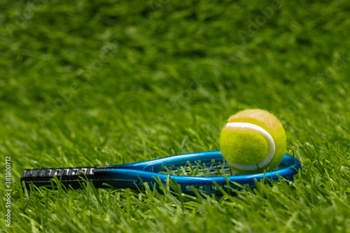 Tennis ball is on racket on green grass