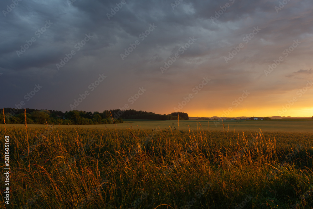 Sonnenuntergang Gewitterwolken mit Wald und Feld im Vordergrund