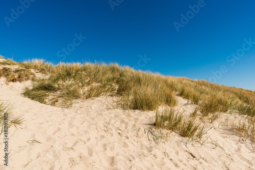 Sand beach background in Denmark. Sunny day on the sea coast. Blue Sky without clouds. Calm water background