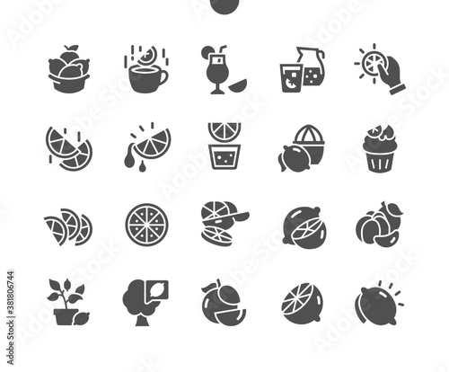 Natural organic citrus fruits. Citrus fruit slices. Grapefruit, orange, lemon and lime. Menu for restaurant and cafe. Vector Solid Icons. Simple Pictogram