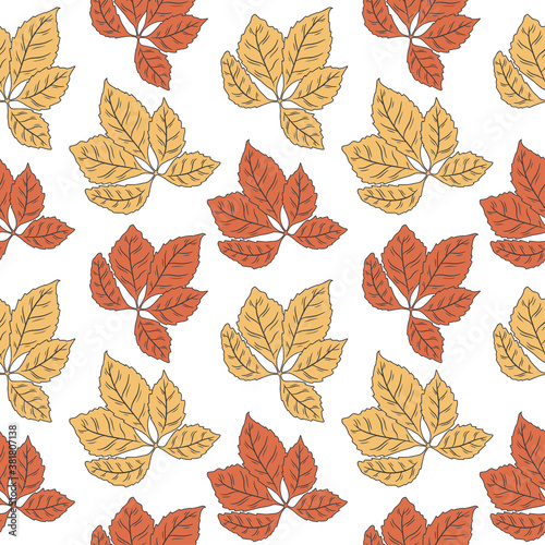 Seamless pattern with hand drawn autumn leaves of chestnut on a white background. Doodle, simple outline illustration. It can be used for decoration of textile, paper.