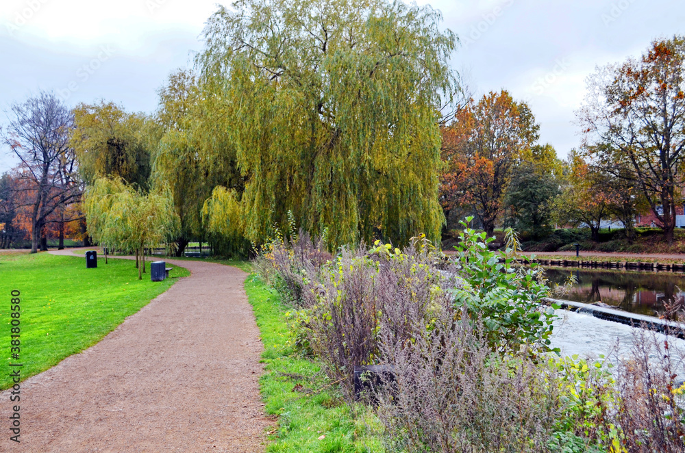 Fototapeta premium Denmark - Odense River Walk in Autumn