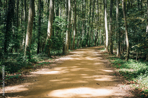 Gravel way path on a countryside green forest wood landscape photo