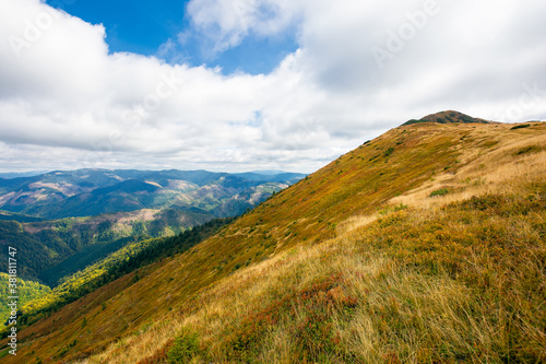 mountain landscape in autumn. dry colorful grass on the hills. ridge behind the distant valley. view from the top of a hill. clouds on the sky. synevir national park, ukraine © Pellinni