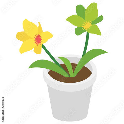 Pot plant flat isometric icon 