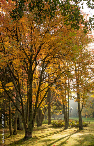Autumn landscape in natural parkland