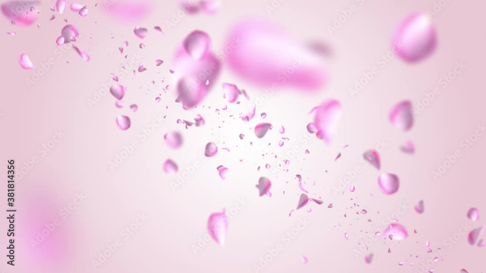 Flowers petals falling Loop background Green Screen Animation. Valentine, wedding or Women Day love red Pink roses florals flying wind. Birthday, Celebration, Carnival, Party, Holiday, Spa, Wellness. Flowers petals falling Loop background Green Screen Animation. Valentine, wedding or Women Day love red Pink roses florals flying wind. Birthday, Celebration, Carnival, Party, Holiday, Spa, Wellness.