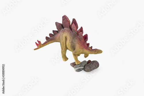 Stegosaurus dinosaurs toy on stones on white background