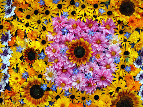 Blütenteppich © Pixelmixel