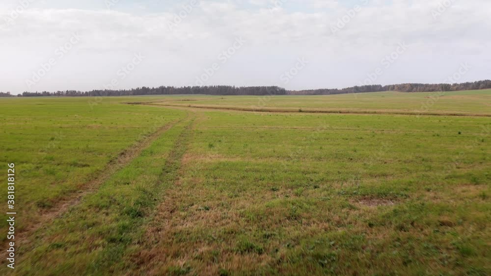 Flight over large green fields at low altitude. Panoramic view, the camera moves forward and rotating Flight over large green fields at low altitude. Panoramic view, the camera moves forward and rotating