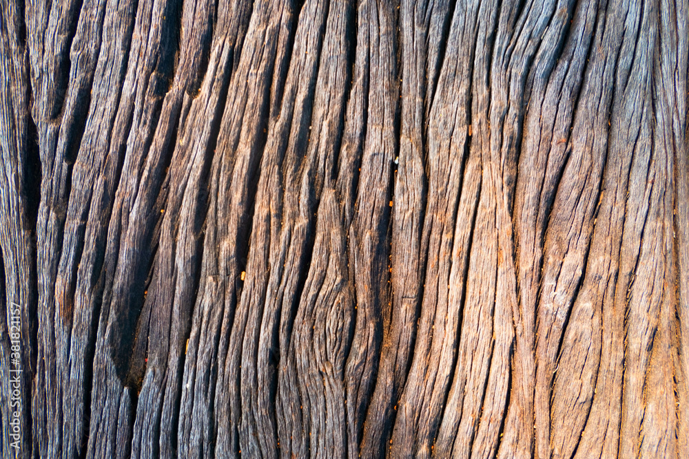 closeup the wood texture background and Wallpaper . closeup the wood texture background and Wallpaper .