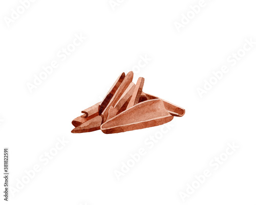 Watercolor sandalwood illustration. Hand drawn sandalwood bark isolated on white background. Herbal medicine and aroma therapy. Cosmetics and medical plant.
