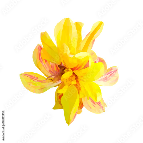 Vector yellow flower isolated on white background. Bright sunny summer detailed and accurate design in low poly style. Floral design element.