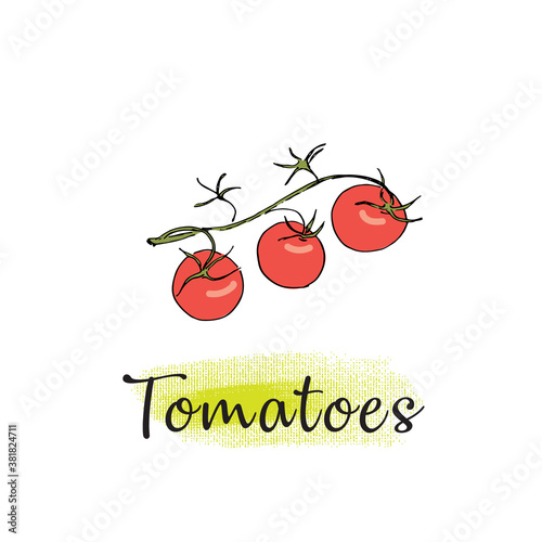 Red and yellow peppers. Isolated vector image on a white background.